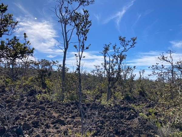 1 Acre of Residential Land for Sale in Hawaiian Ocean View, Hawaii