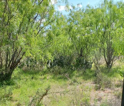 0.11 Acres of Land for Sale in Granite Shoals, Texas