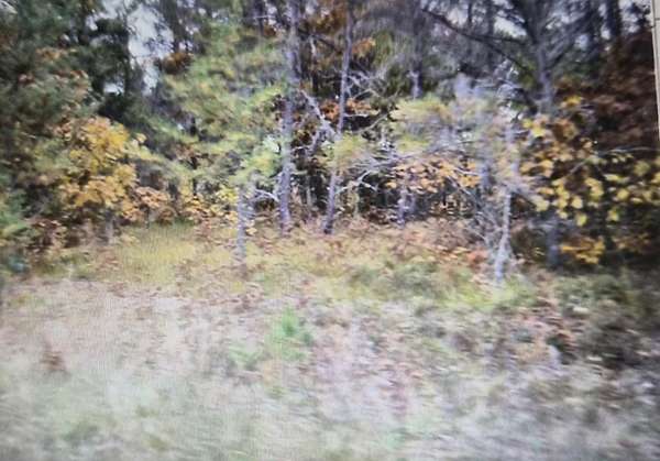 0.5 Acres of Residential Land for Sale in Grayling, Michigan