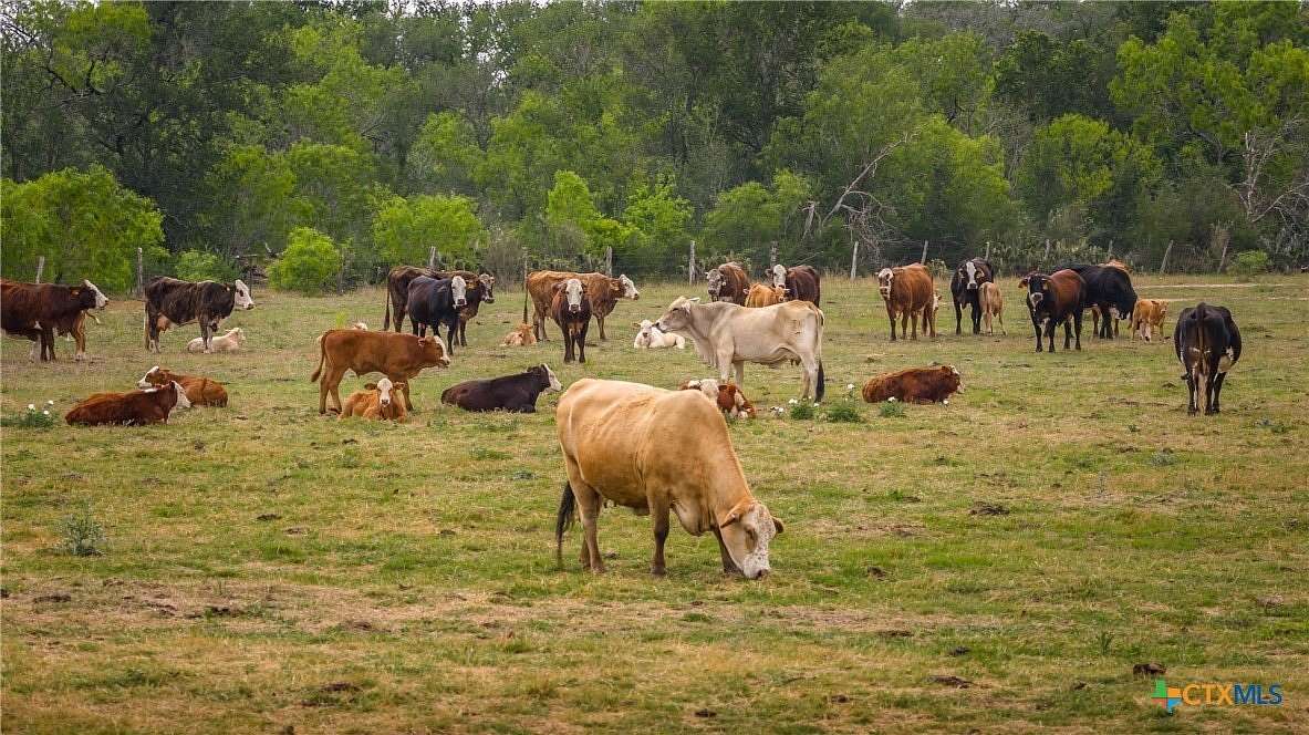 446 Acres of Agricultural Land for Sale in Nixon, Texas