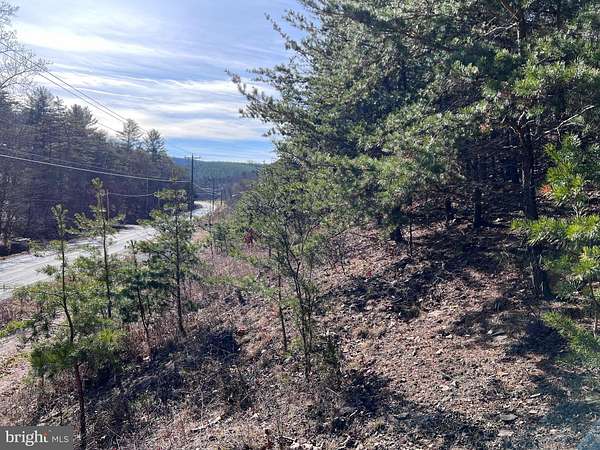 8.3 Acres of Residential Land for Sale in Berkeley Springs, West Virginia