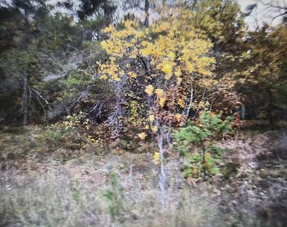 0.5 Acres of Residential Land for Sale in Grayling, Michigan