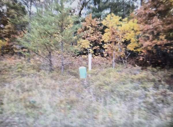 0.5 Acres of Residential Land for Sale in Grayling, Michigan