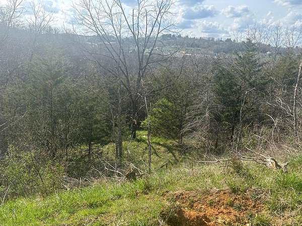 13 Acres of Land for Sale in Pounding Mill, Virginia