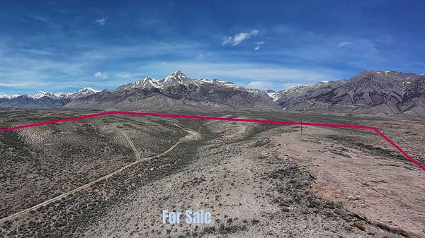 49.6 Acres of Recreational & Residential Land for Sale in Mackay, Idaho