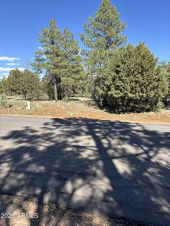 0.29 Acres of Residential Land for Sale in Lakeside, Arizona