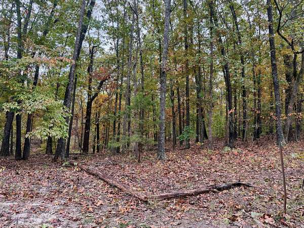 15 Acres of Land for Sale in Fordland, Missouri