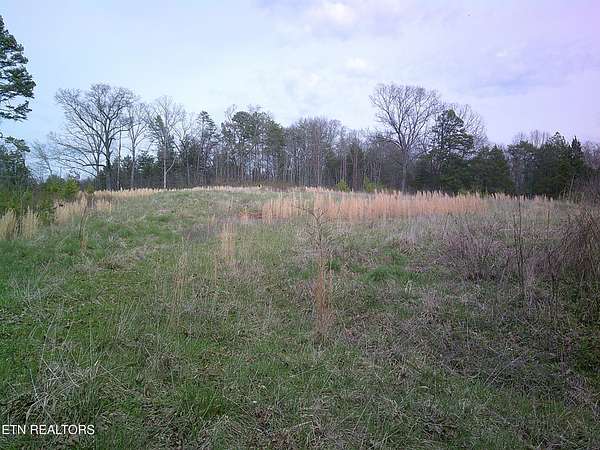 33.2 Acres of Agricultural & Residential Land for Sale in Strawberry Plains, Tennessee