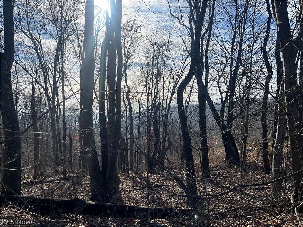 0.63 Acres of Residential Land for Sale in Toronto, Ohio