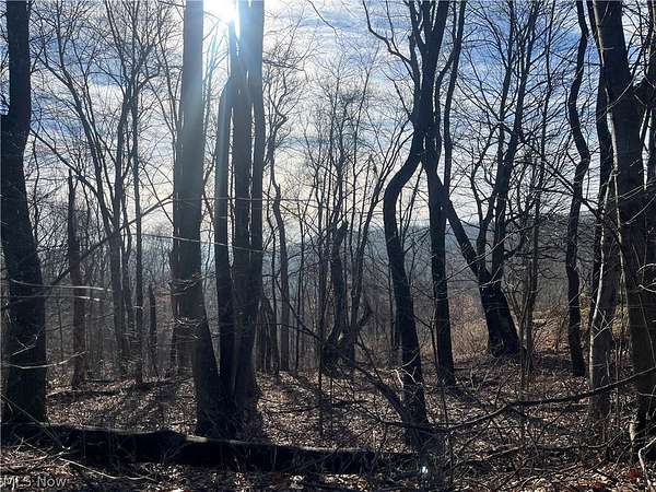 0.63 Acres of Residential Land for Sale in Toronto, Ohio