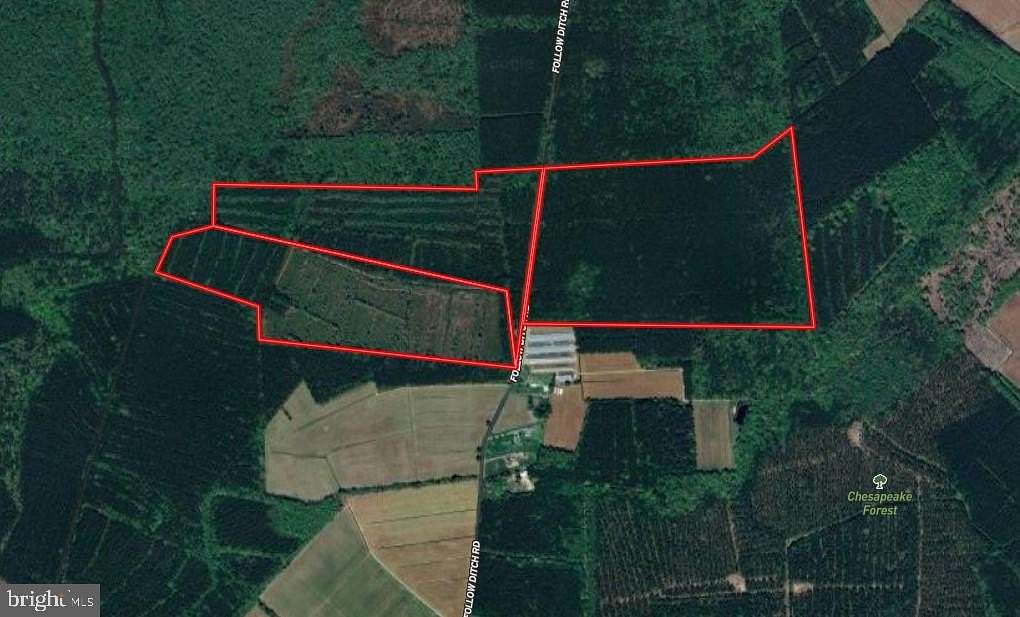 220 Acres of Recreational Land for Sale in Westover, Maryland