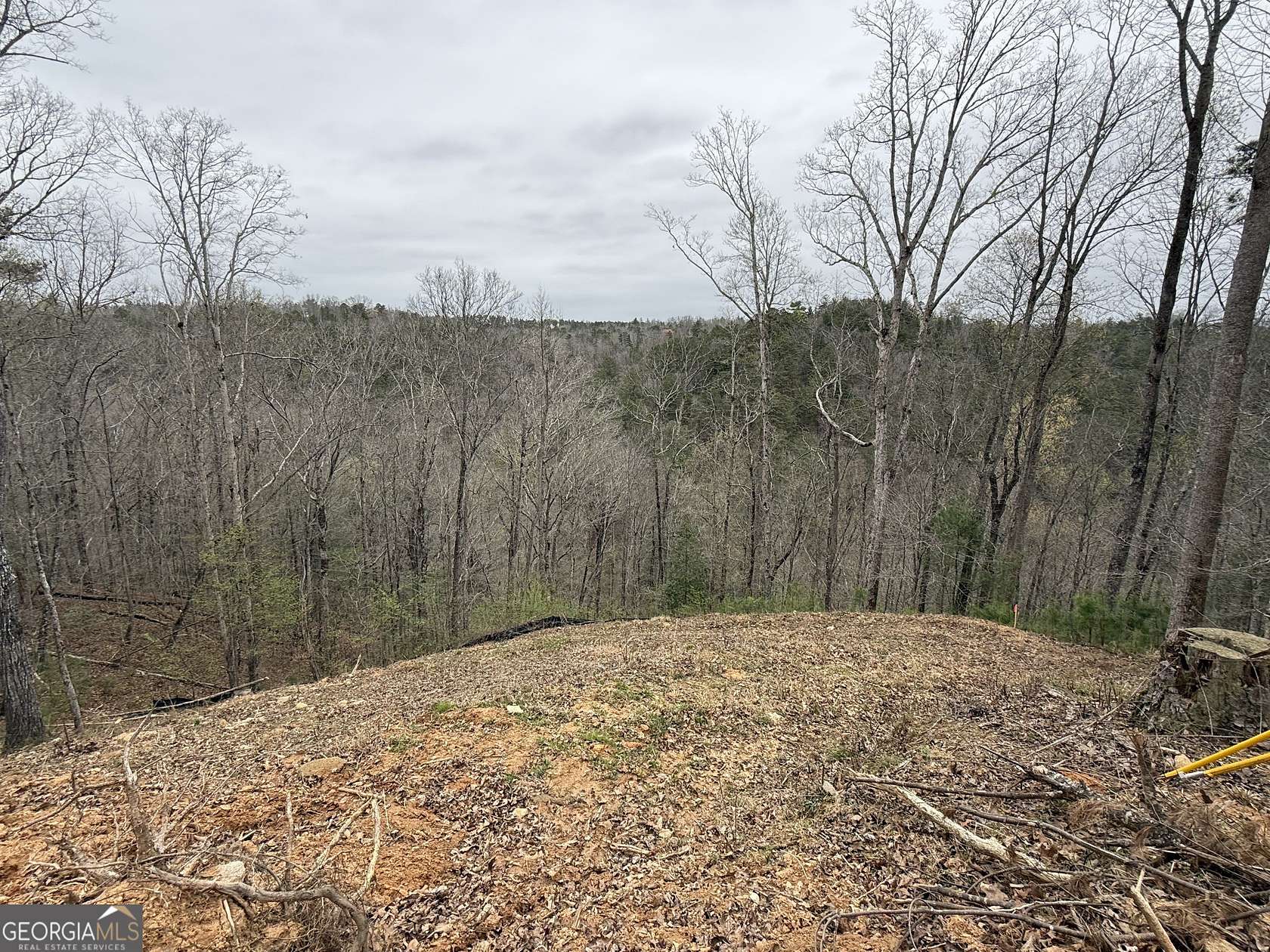 0.58 Acres of Residential Land for Sale in Ellijay, Georgia