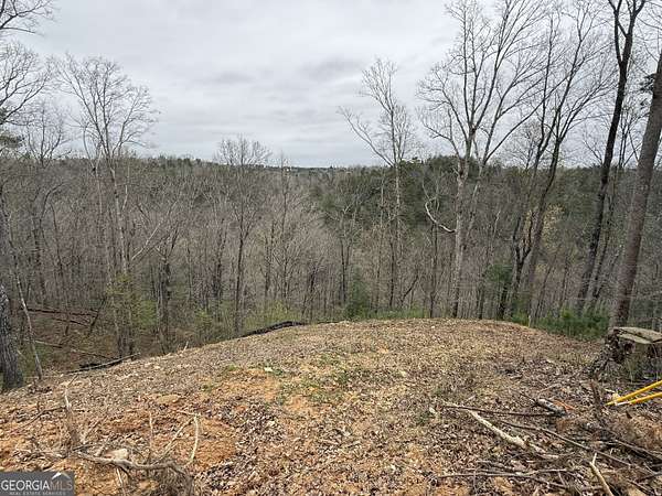 0.58 Acres of Residential Land for Sale in Ellijay, Georgia