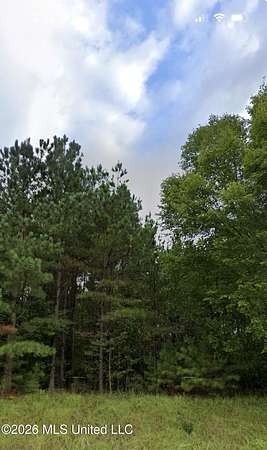 2 Acres of Land for Sale in Lake Cormorant, Mississippi