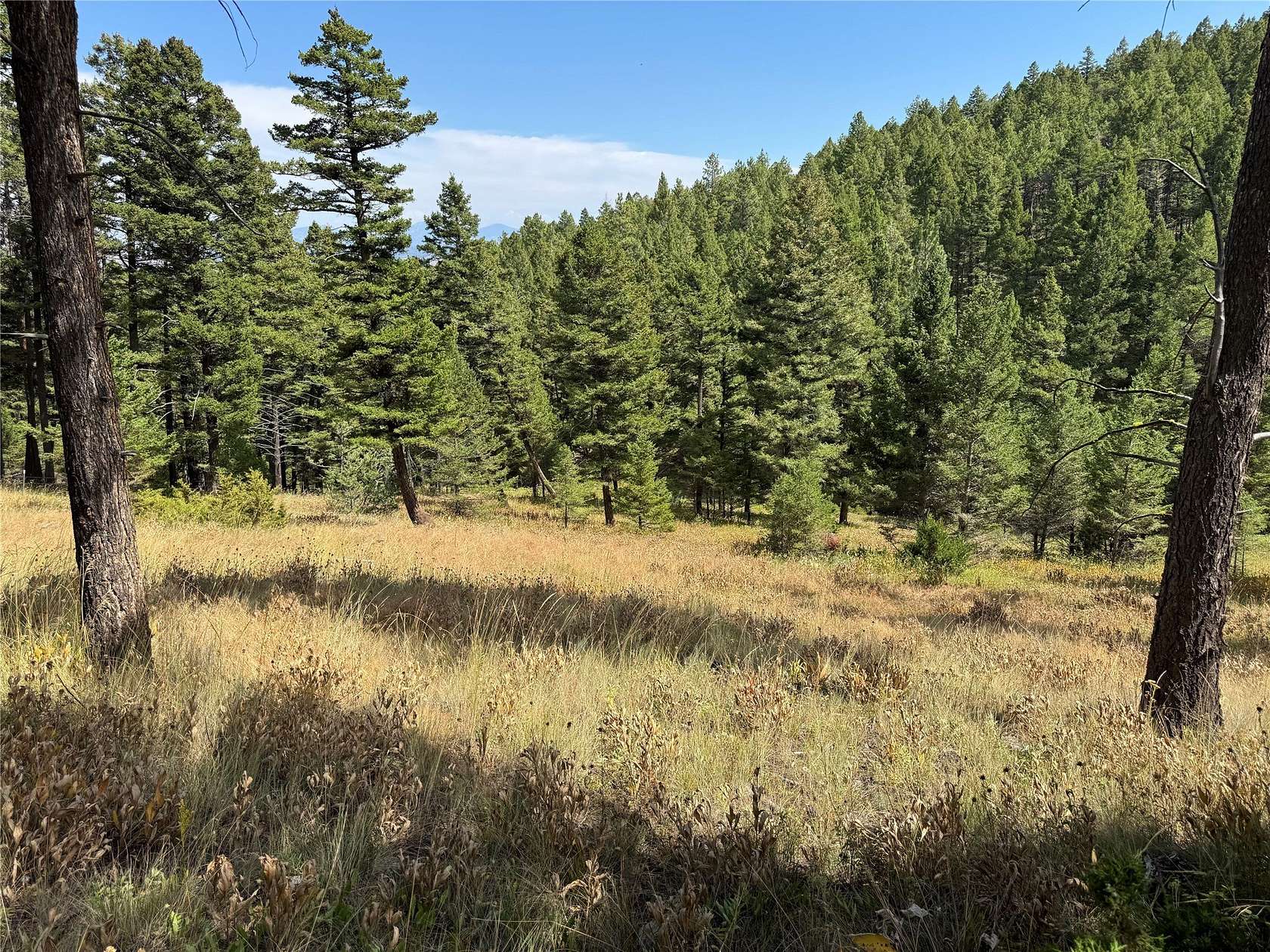 46.3 Acres of Recreational Land for Sale in Helena, Montana