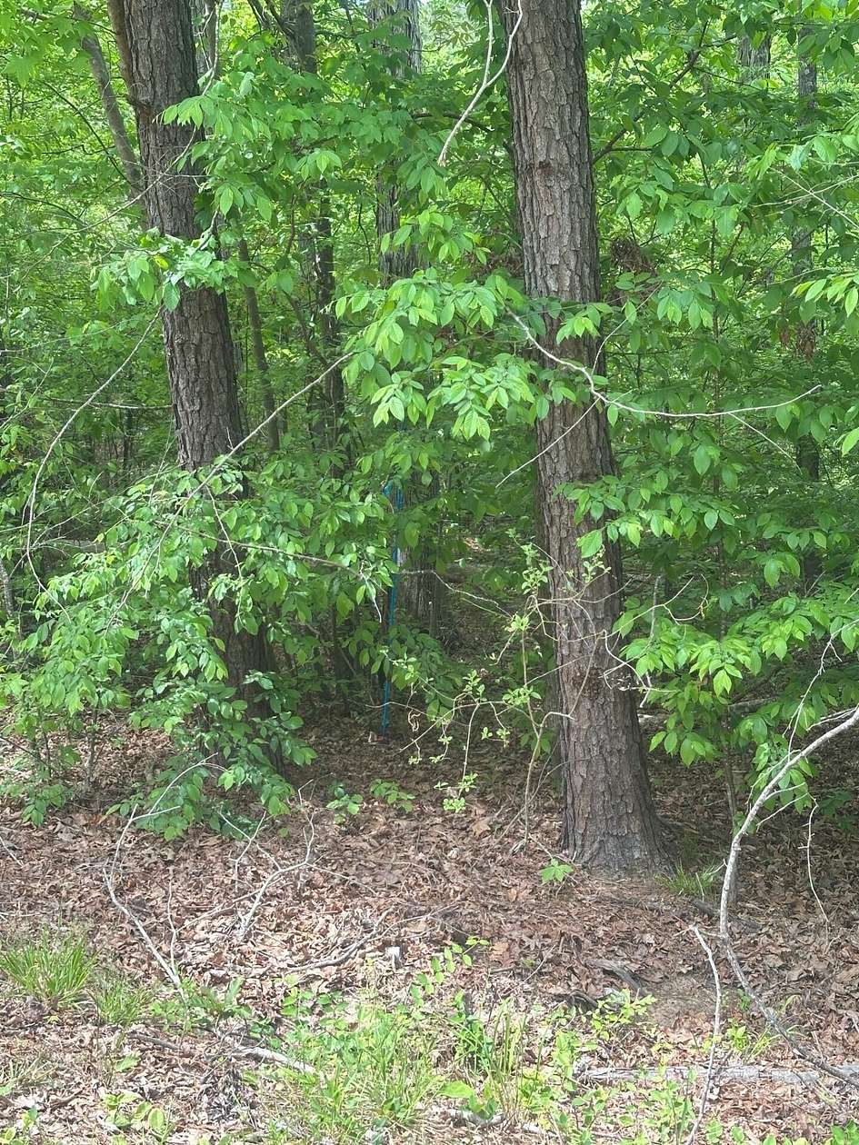 3 Acres of Residential Land for Sale in North Augusta, South Carolina
