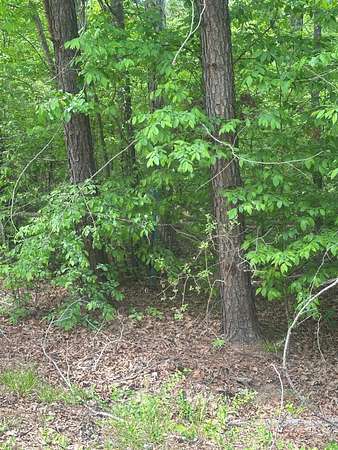 3 Acres of Residential Land for Sale in North Augusta, South Carolina