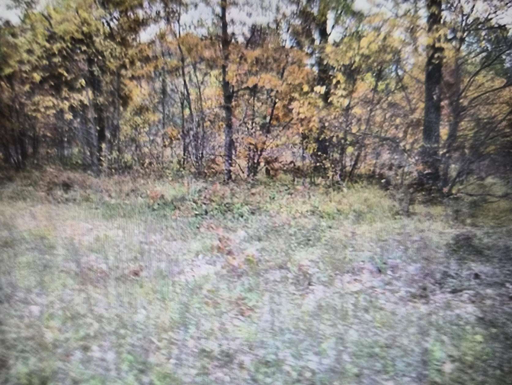 0.5 Acres of Residential Land for Sale in Grayling, Michigan