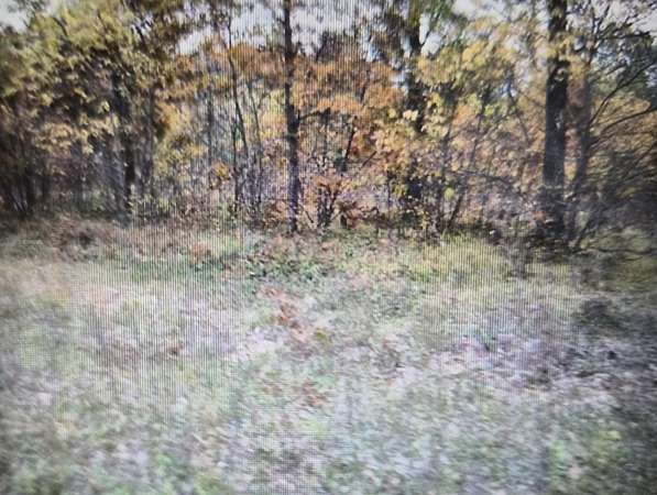 0.5 Acres of Residential Land for Sale in Grayling, Michigan