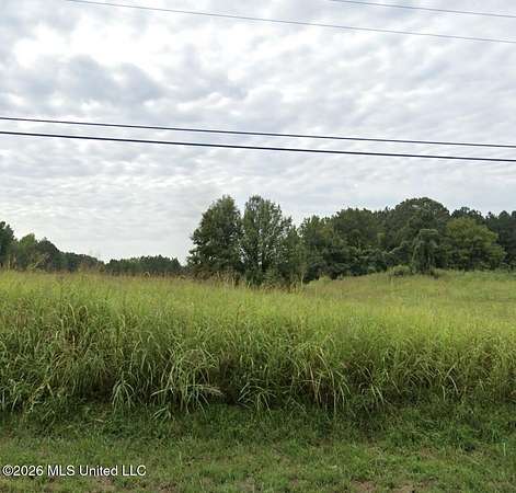 2.17 Acres of Residential Land for Sale in Lake Cormorant, Mississippi