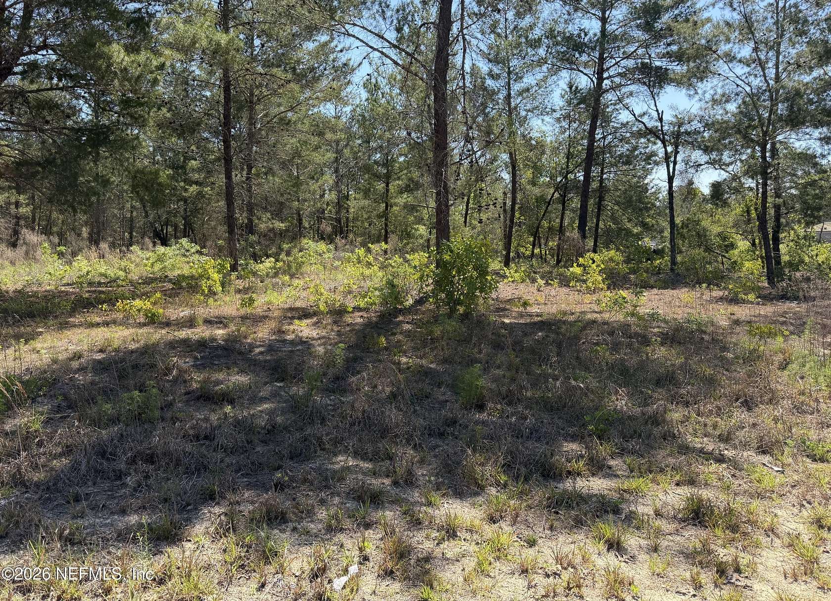 1.44 Acres of Residential Land for Sale in Keystone Heights, Florida