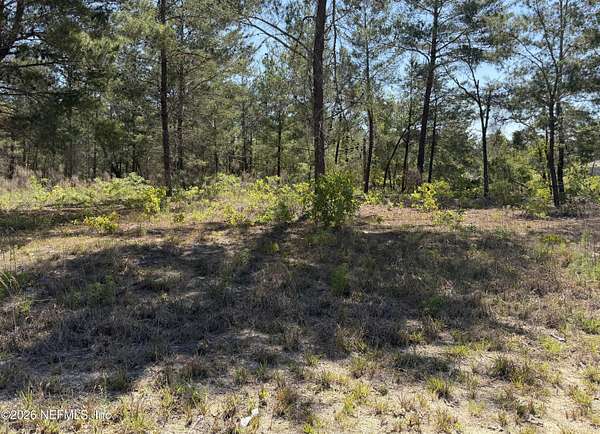 1.44 Acres of Residential Land for Sale in Keystone Heights, Florida