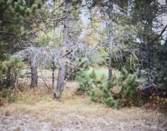 0.5 Acres of Residential Land for Sale in Grayling, Michigan