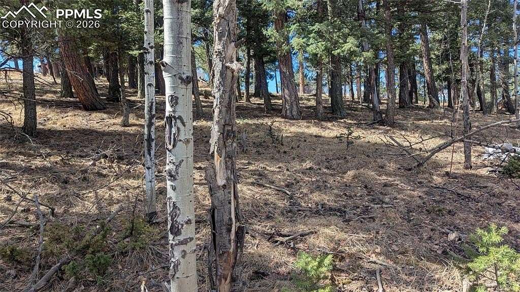 0.21 Acres of Land for Sale in Divide, Colorado