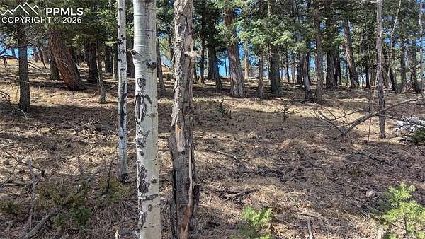 0.21 Acres of Land for Sale in Divide, Colorado