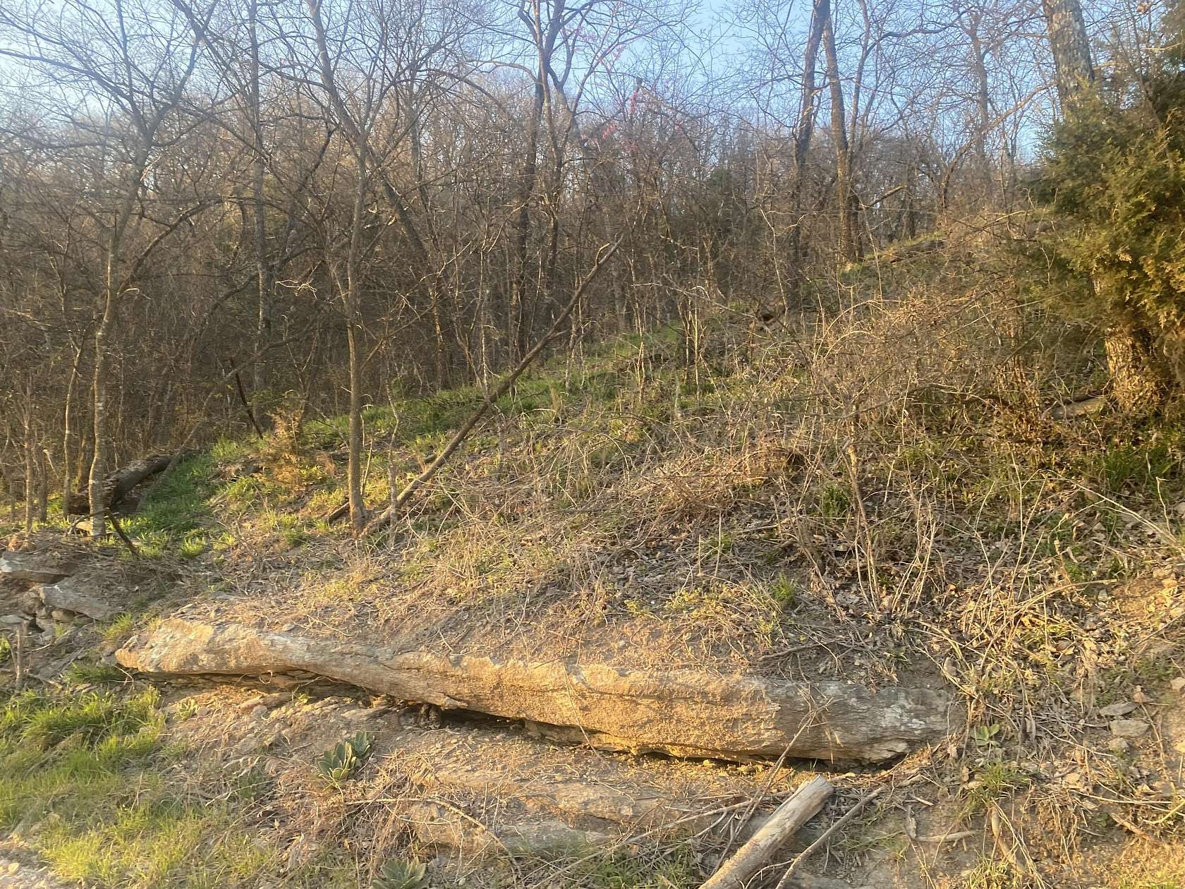 20 Acres of Recreational & Residential Land for Sale in Jay, Oklahoma