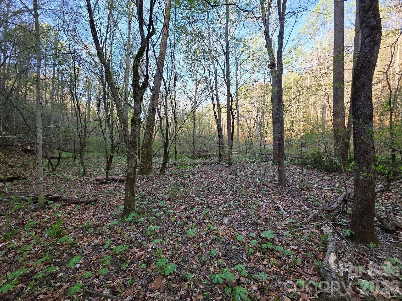 5.59 Acres of Residential Land for Sale in Marion, North Carolina