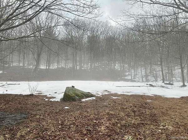 7.1 Acres of Residential Land for Sale in Cairo, New York