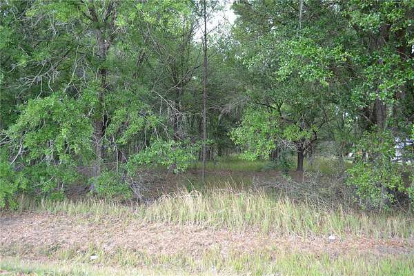 2.28 Acres of Residential Land for Sale in Bowling Green, Florida