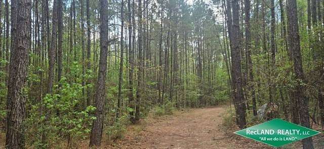 397 Acres of Recreational & Residential Land for Sale in Corrigan, Texas