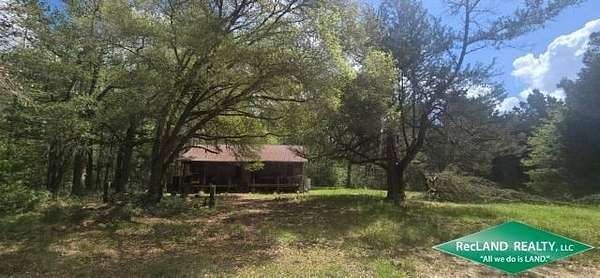 397 Acres of Recreational & Residential Land for Sale in Corrigan, Texas