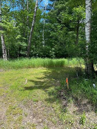 18.8 Acres of Land for Sale in Aitkin, Minnesota