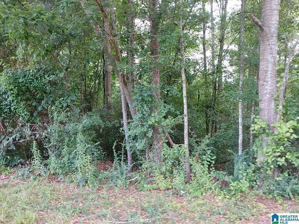 0.4 Acres of Residential Land for Sale in Sylacauga, Alabama