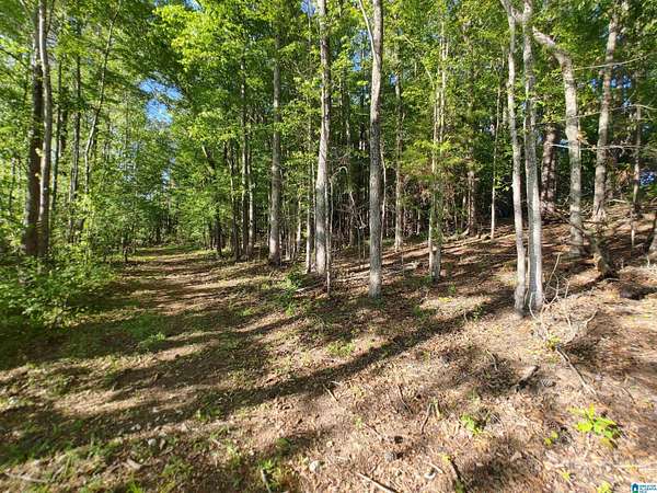 0.45 Acres of Residential Land for Sale in Sylacauga, Alabama