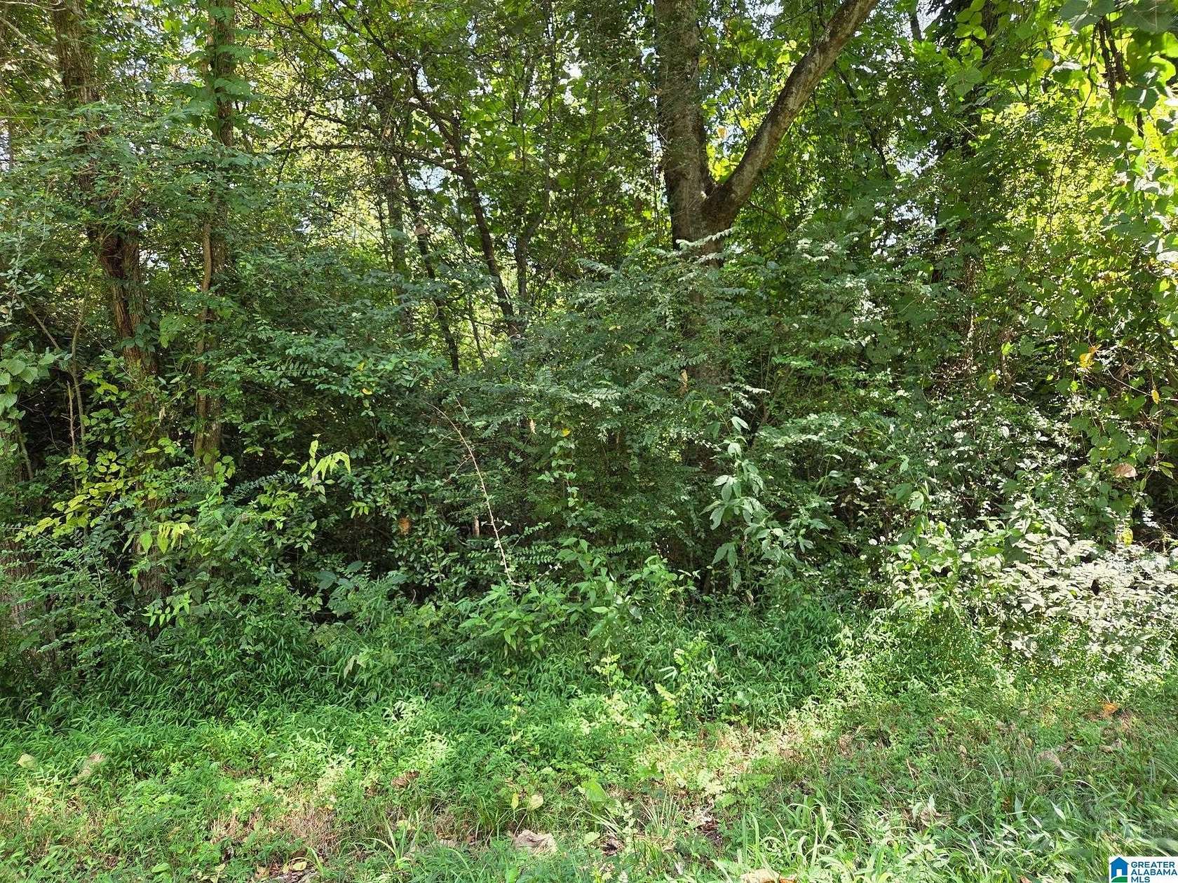 0.76 Acres of Residential Land for Sale in Sylacauga, Alabama