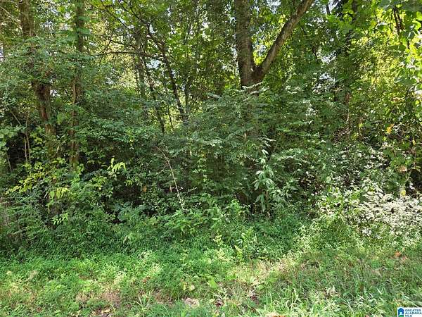 0.76 Acres of Residential Land for Sale in Sylacauga, Alabama
