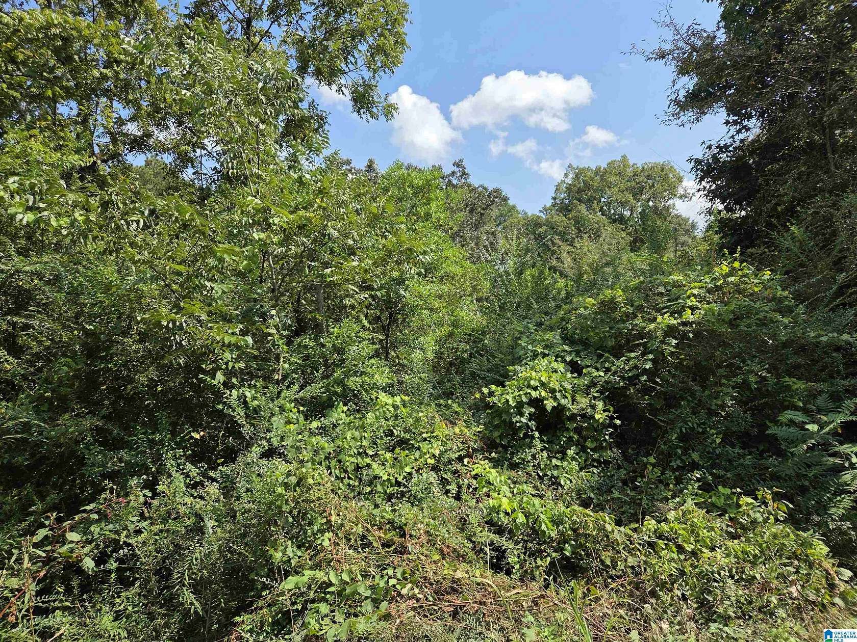 0.31 Acres of Residential Land for Sale in Sylacauga, Alabama