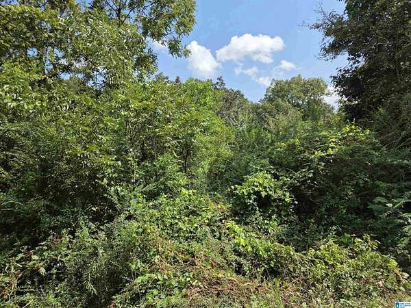 0.31 Acres of Residential Land for Sale in Sylacauga, Alabama