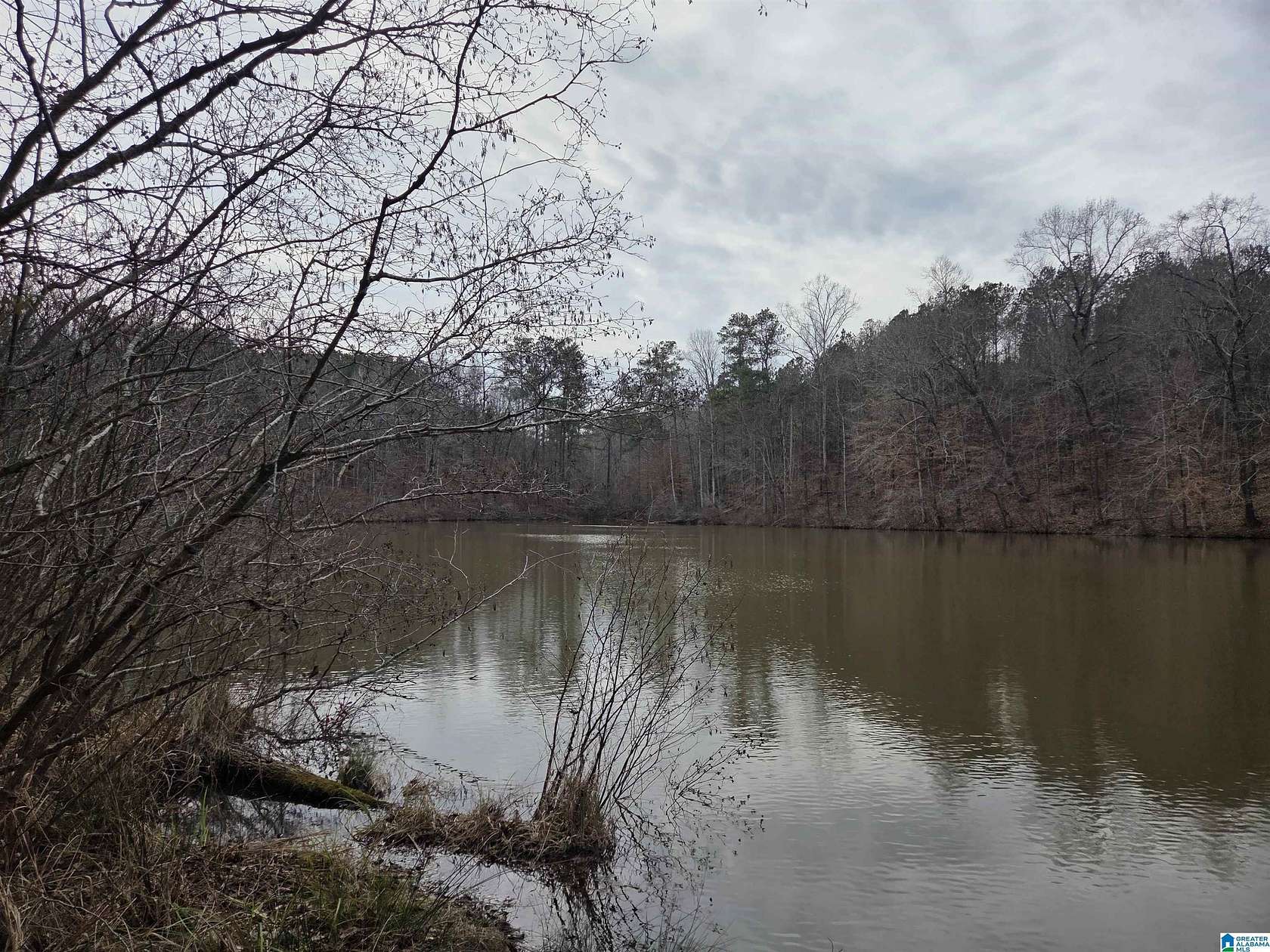 32 Acres of Recreational & Residential Land for Sale in Sylacauga, Alabama