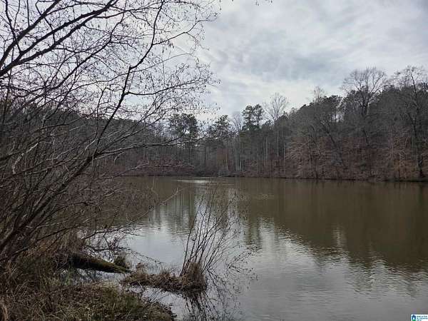 32 Acres of Recreational & Residential Land for Sale in Sylacauga, Alabama