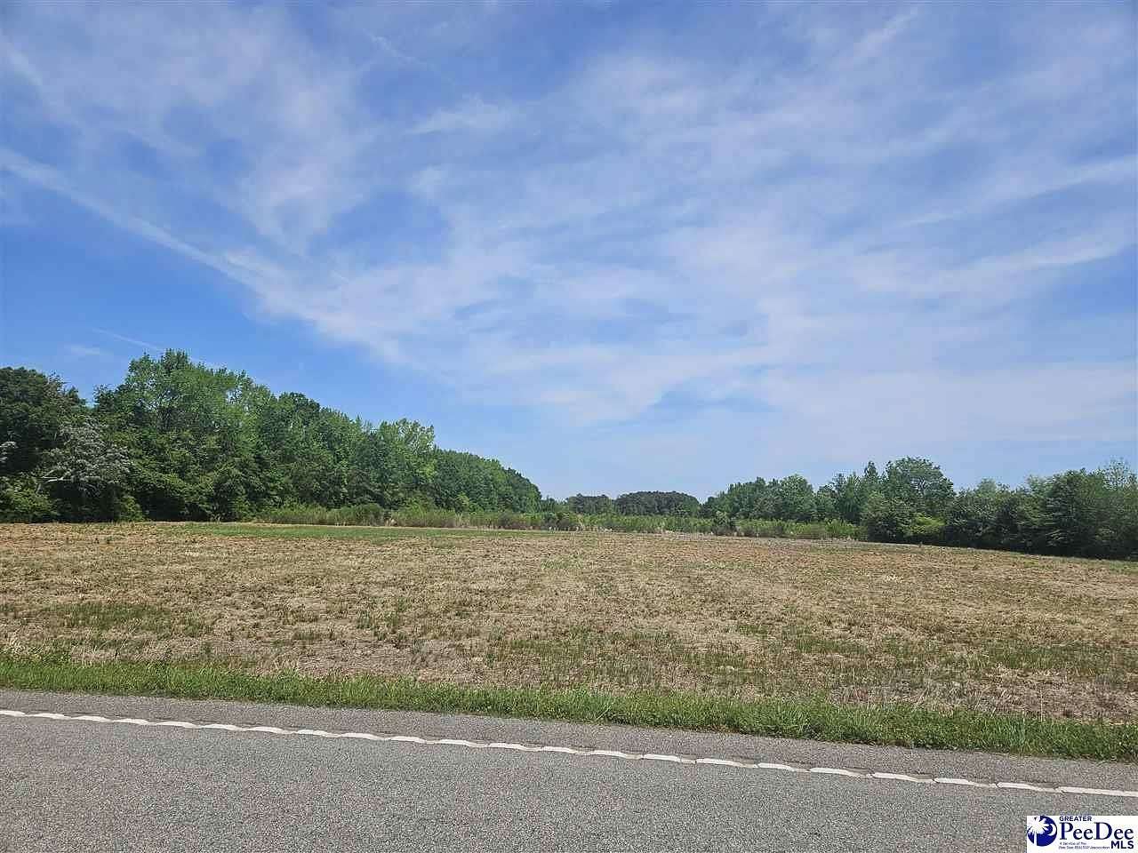 34.7 Acres of Commercial Land for Sale in Dillon, South Carolina