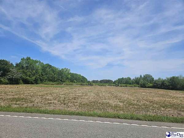 34.7 Acres of Commercial Land for Sale in Dillon, South Carolina