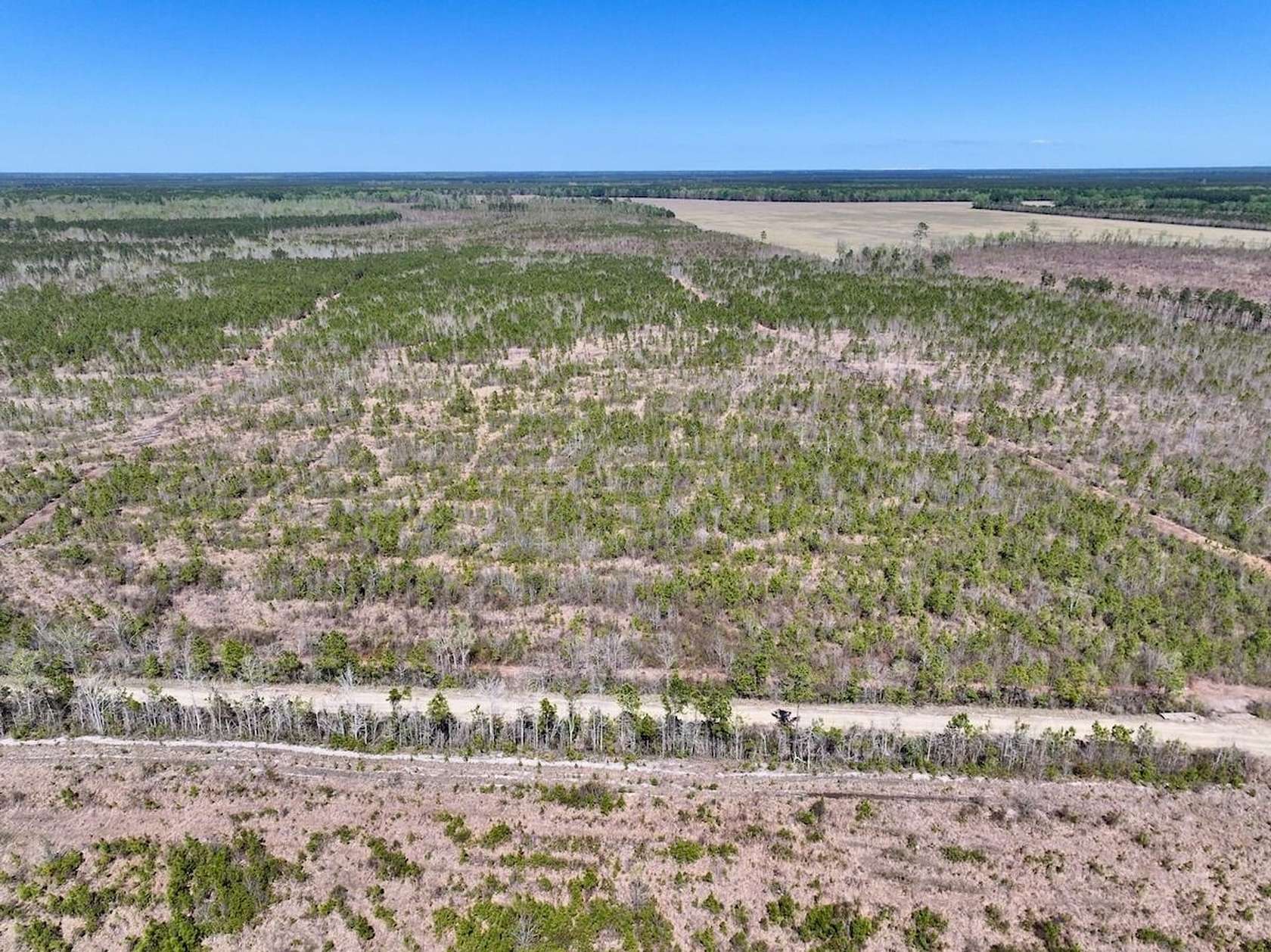 35 Acres of Recreational & Residential Land for Sale in Ernul, North Carolina