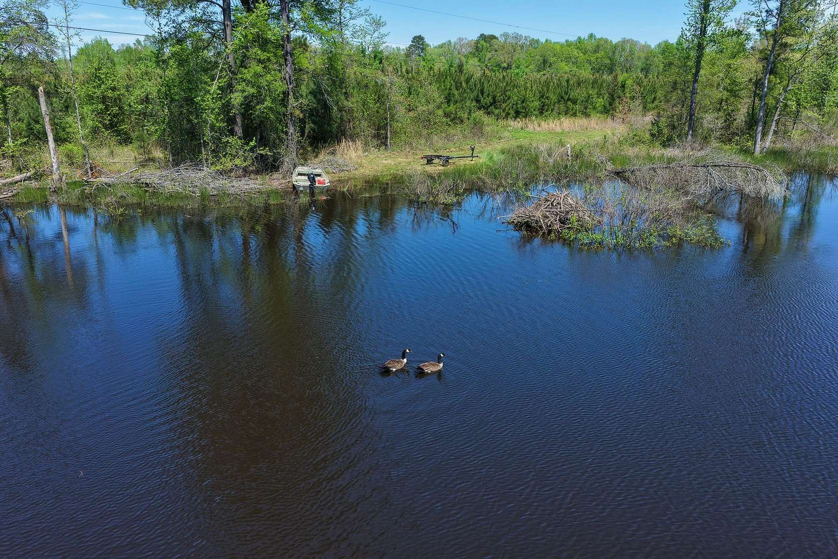 76.2 Acres of Recreational Land for Sale in Ozan, Arkansas