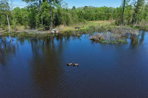 76.2 Acres of Recreational Land for Sale in Ozan, Arkansas