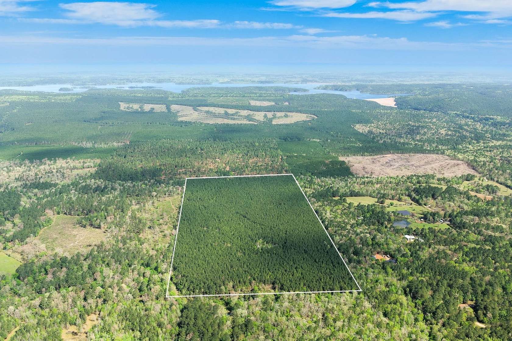 80.7 Acres of Recreational Land for Sale in Arkadelphia, Arkansas